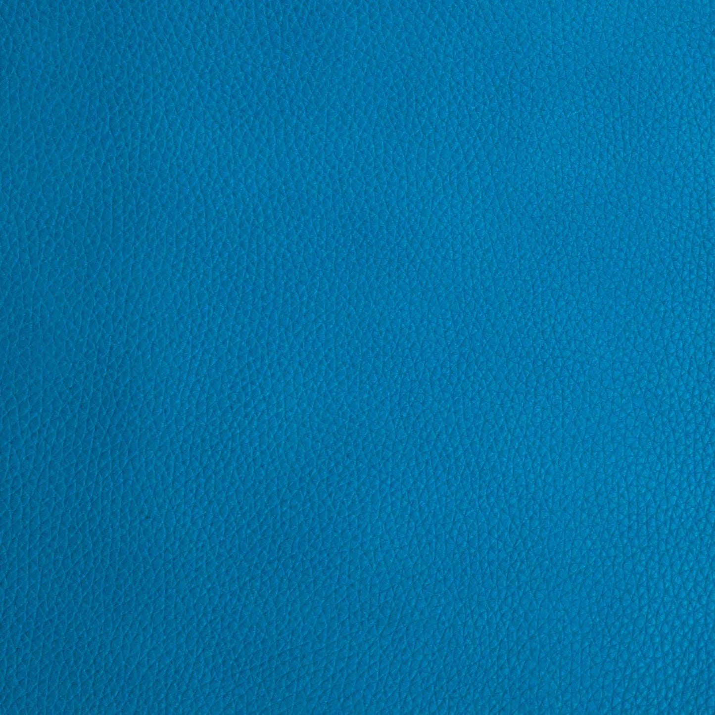 Ledergurt Kurz Grain Electric Blue